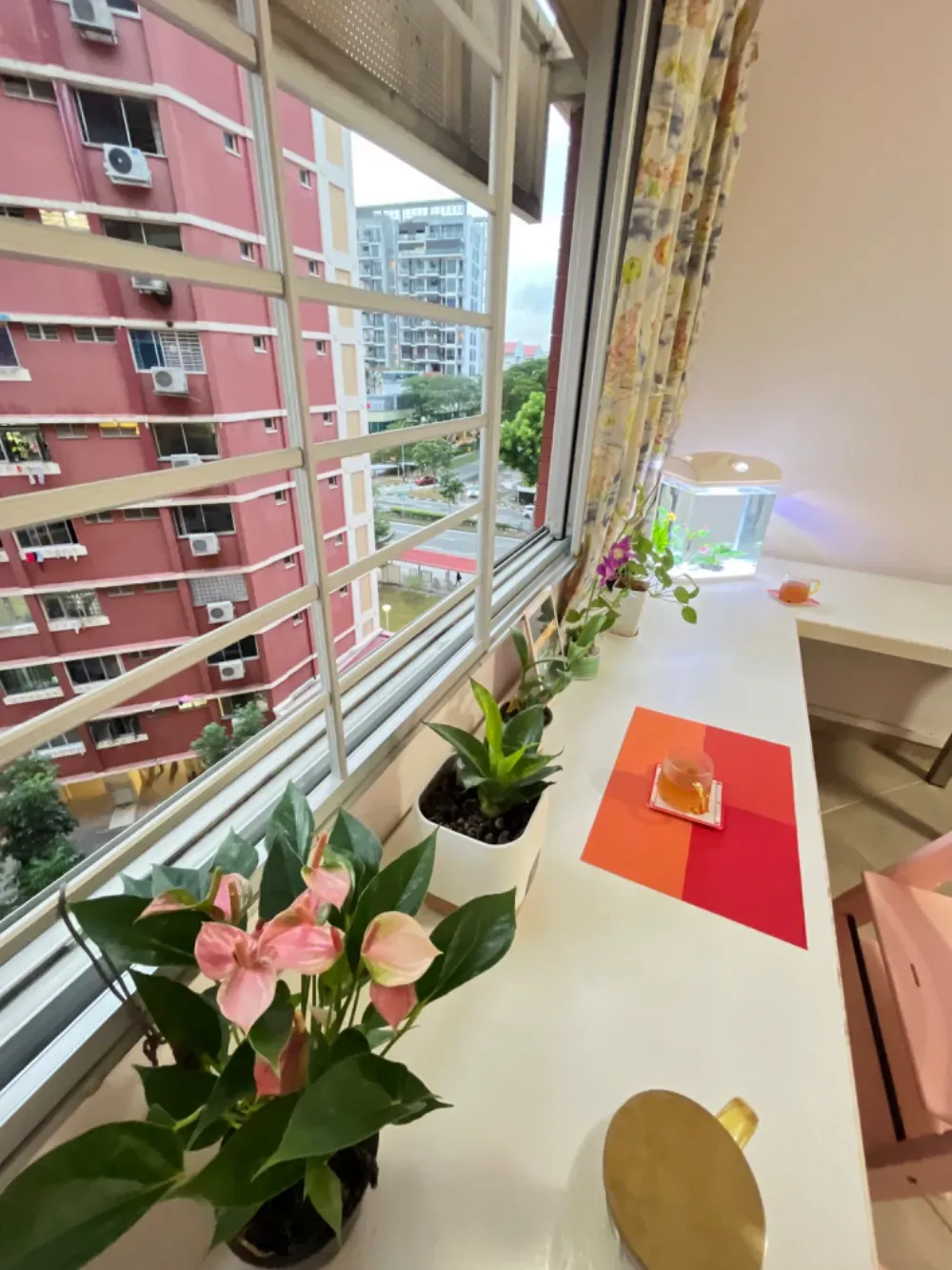 后港超大~超美~单人房