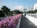 ！！武吉巴督地铁站旁！大房间出租！ 近裕廊东
