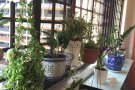 可以报地址！无中介费！只租一位！蔡厝港普通房招租！交通方便环境优美干净人少！