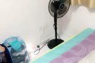 限一人，马来西亚女生，非吸烟，爱干净，随和 