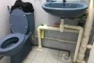 305金文泰组屋高楼出售 97345741