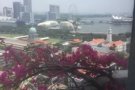  市区 主人房招租 The riverwalk公寓 靠近克拉码头地铁 地点非方便