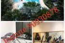 Central Grove@Aljunied mrt公寓普通房出租