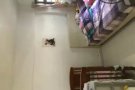 义順大牌312 单房出租