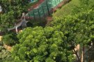 92334978█淡滨尼Tampines█步行3分钟豪华公寓冷气房-带独立卫生间