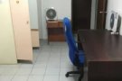 文礼大普通房出租（如有需要，可申报地址）