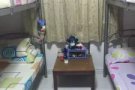 女搭房床位出租
