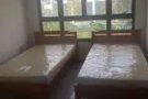 榜鵝大牌658C 普通房間出租歡迎愛干淨无吸烟工作人士