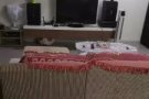 盛港主人房