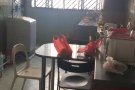 近yck地铁大牌621的2卧室2卫生间出租普通房，每月租金650。