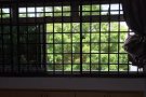 兀兰大牌868 跃层 超大房出租 (无中介）