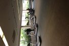 ✌️兀里地铁站泳池公寓有超大主人房出租，租金1000/月，可报本屋地址