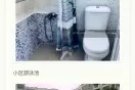 西海岸主人房出租