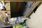 女床位招租