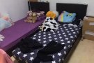 金文泰—床位出租