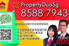 ?开发商直销 新公寓 无中介费 外国人可买? 