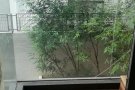 房屋出租