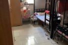 义顺大牌794招女搭房