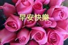 宏茂桥私人排屋男塔房（只租马来西亚人）或PR 夫妻情侣房