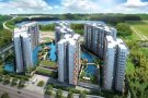 Tampines高级公寓普通房出租，近淡马锡poly，SUTD，交通便捷