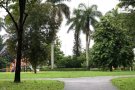 市中心  多美歌附近  各式学区房  长短期出租
