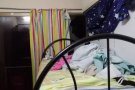 有本屋地址男床位两人间