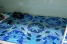 Looking for Male Bed sharing 男性搭房