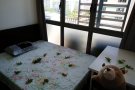 优质普通房！绿线/阿裕尼  正地铁口  靠近jcu  豪华公寓 自带泳池、健身房、空中花园