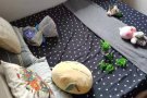 马里是他区域，2间普通房同时出租，3房2卫房型，每间可住2，无中介费，可报地址，免费看房，欢迎预订！！！