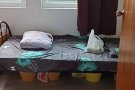 床位出租