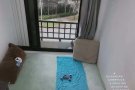 无中介费 诺维娜 近地铁 一站到乌节路 只用跟1人共用卫生间
