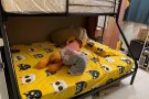 榜鹅 单间租房