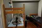 Pioneer MRT, Bedspace , 床位无代理费