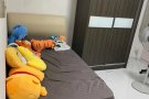 出租普通房