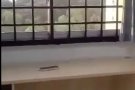 西部房屋出租