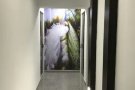 兀兰大牌893D，普通房出租, 可报本屋地址.杀猪盘勿扰！