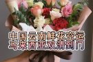 云南鲜花空运马来西亚,马来西亚鲜花进口需要上门资料