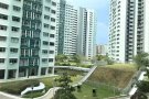 盛港普通房出租