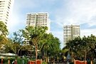高楼层Lagoon view  Siglap MRT三居室 出租