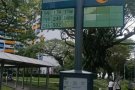 老文礼 有 四人间 男搭房  300 出租 男搭房出租