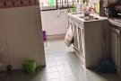 主人房招男，女搭房，可报服务业本屋地址