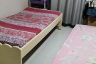 巴西立大牌485床位出租