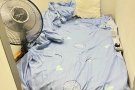 勿洛中心 460133。小单间出租 有风扇。报地址500不报450