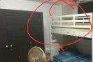 月租430无房东招租客