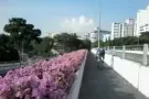 ！！武吉巴督地铁站旁！大房间出租！ 近裕廊东