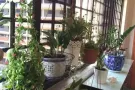 可以报地址！无中介费！只租一位！蔡厝港普通房招租！交通方便环境优美干净人少！