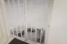文庆温馨主人房找女生搭房或整间出租！人少整洁