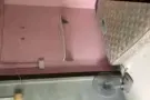 夫妻，情侣，姐妹房要出租