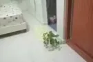 阿欲尼地铁附近有公寓房间出租