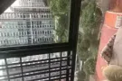 马里是它新公寓